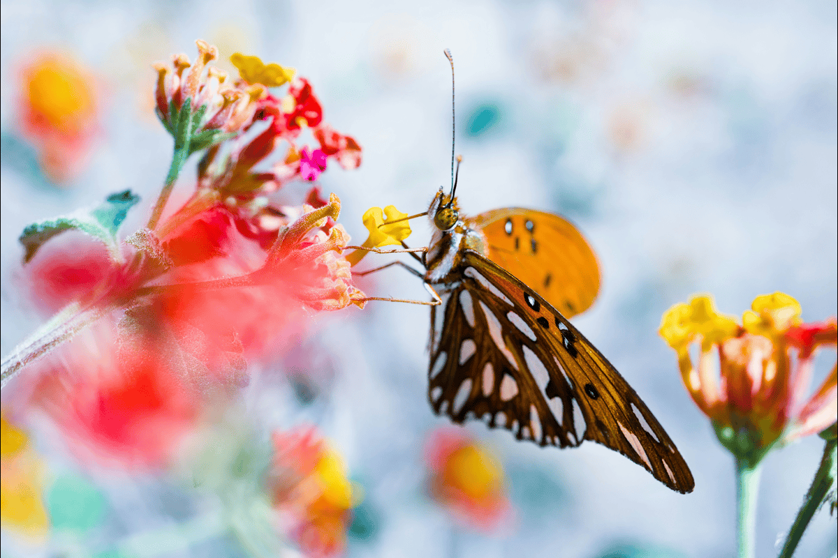 Literoticatags: Your Essential Guide to Finding Perfect Stories [2025]