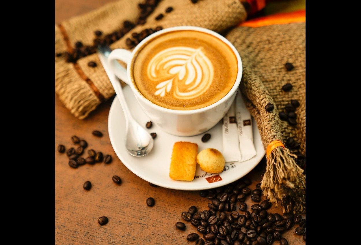 Woodwork Coffee: Crafting Flavor with Artisan Care